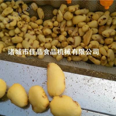 厂家供应土豆去皮机 果蔬去皮机价格 多功能削皮机佳品机械