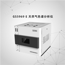 GS5969 E 天然气色谱分析仪
