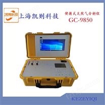 便携式天然气分析仪GC