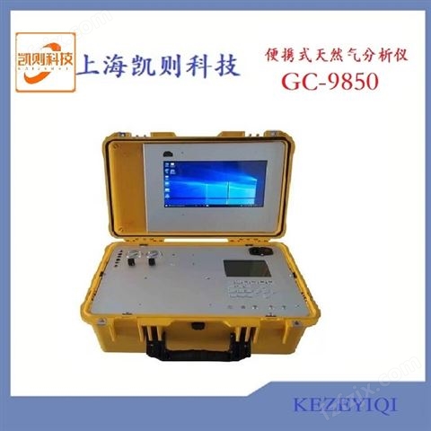 便携式天然气分析仪GC